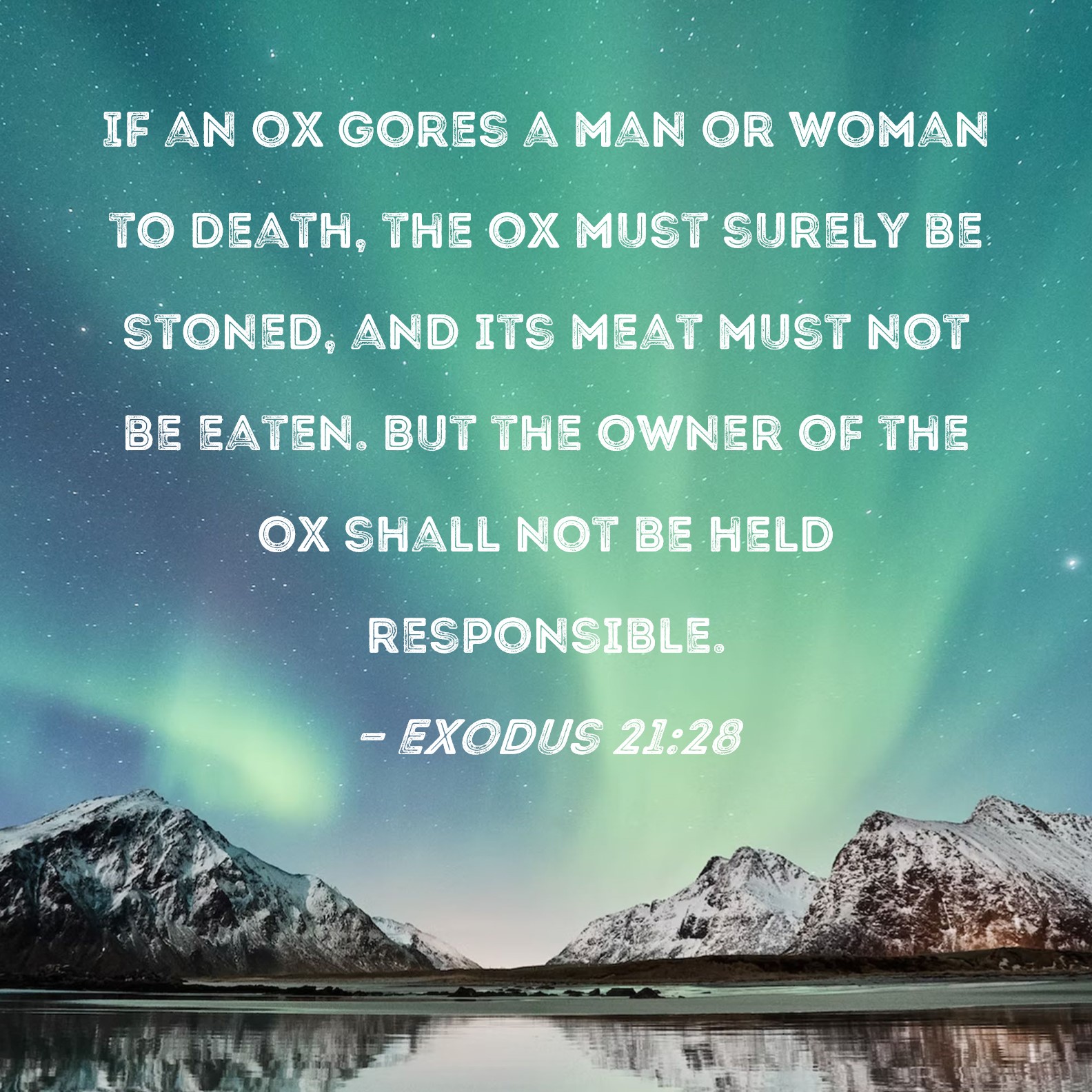 Exodus 2128 If an ox gores a man or woman to death, the ox must surely