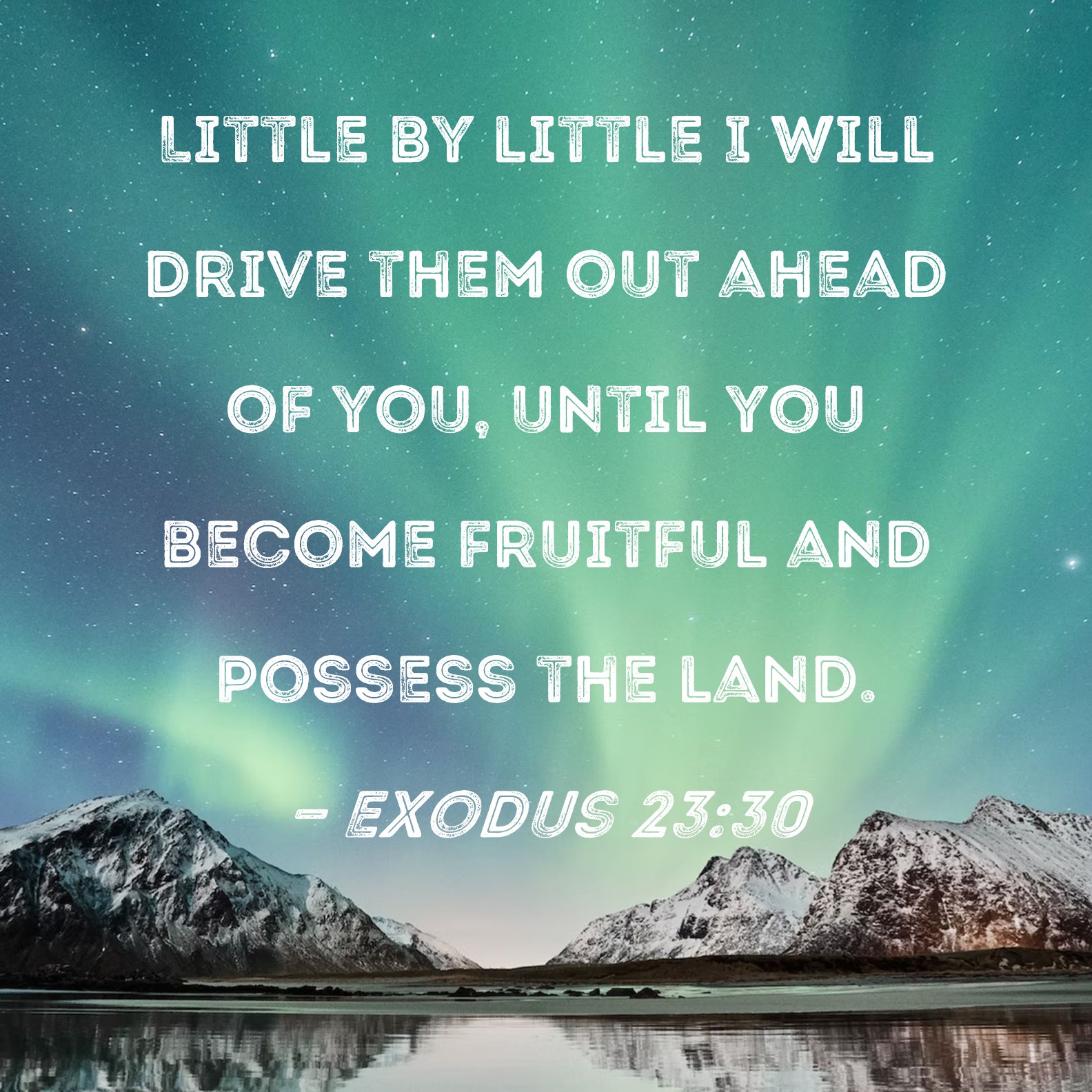 Exodus 2330 Little by little I will drive them out ahead of you, until