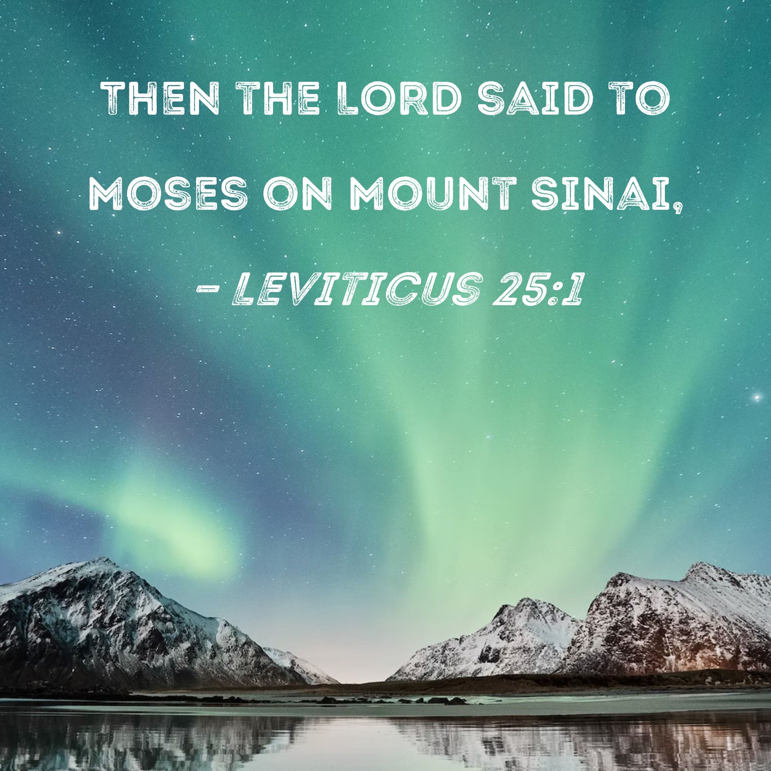 Leviticus 251 Then the LORD said to Moses on Mount Sinai,