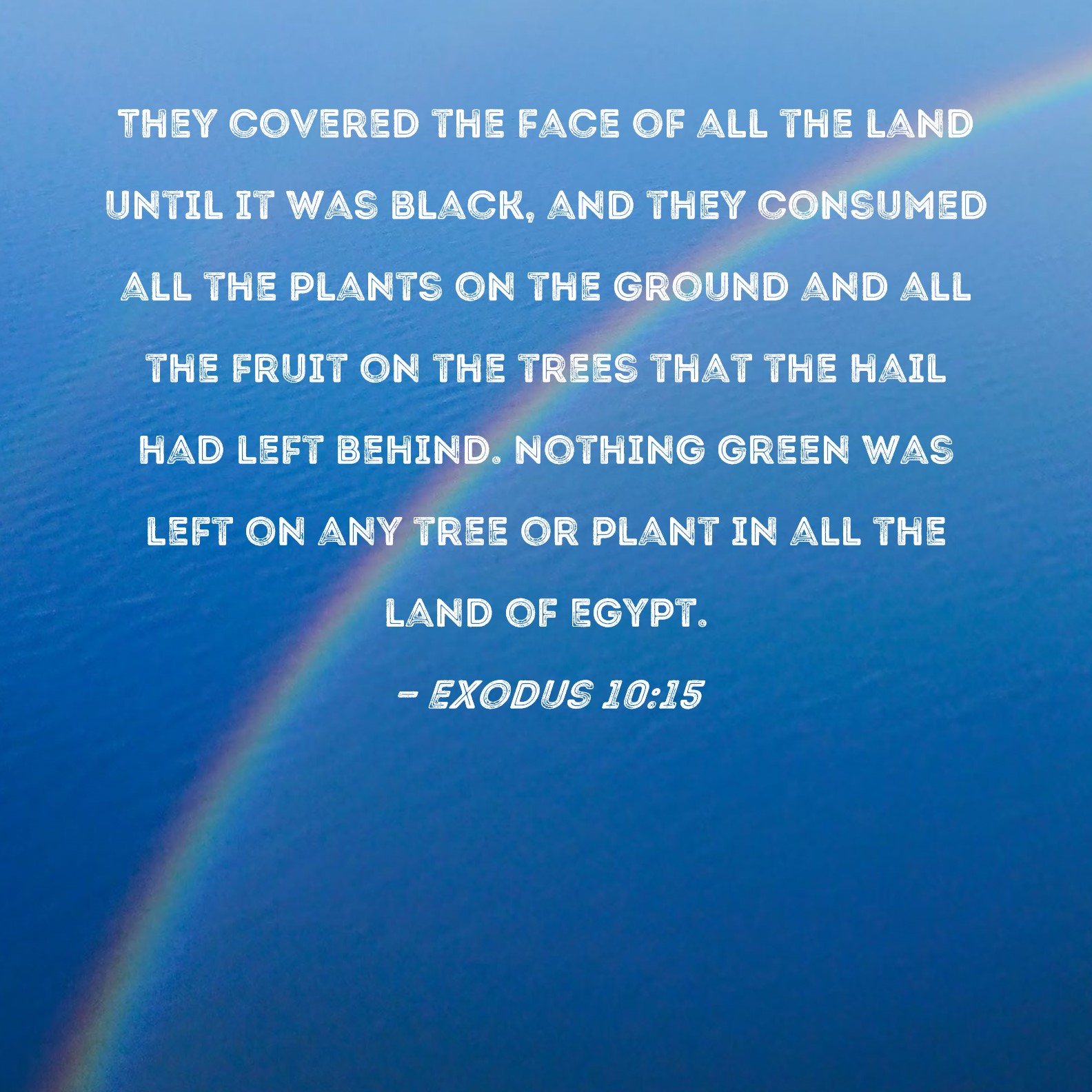 Exodus 1015 They covered the face of all the land until it was black, and they consumed all the