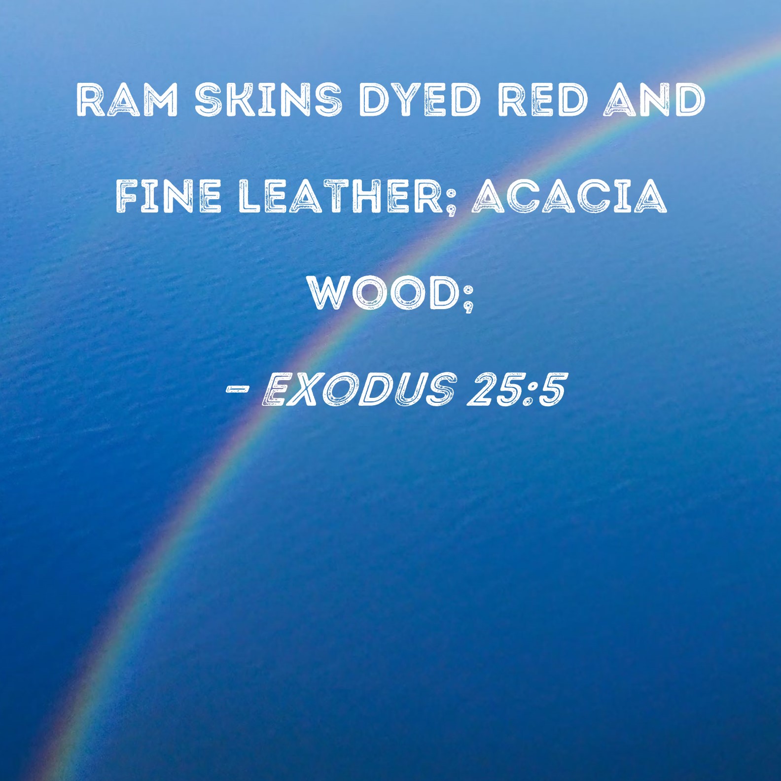 Exodus 255 ram skins dyed red and fine leather; acacia wood;