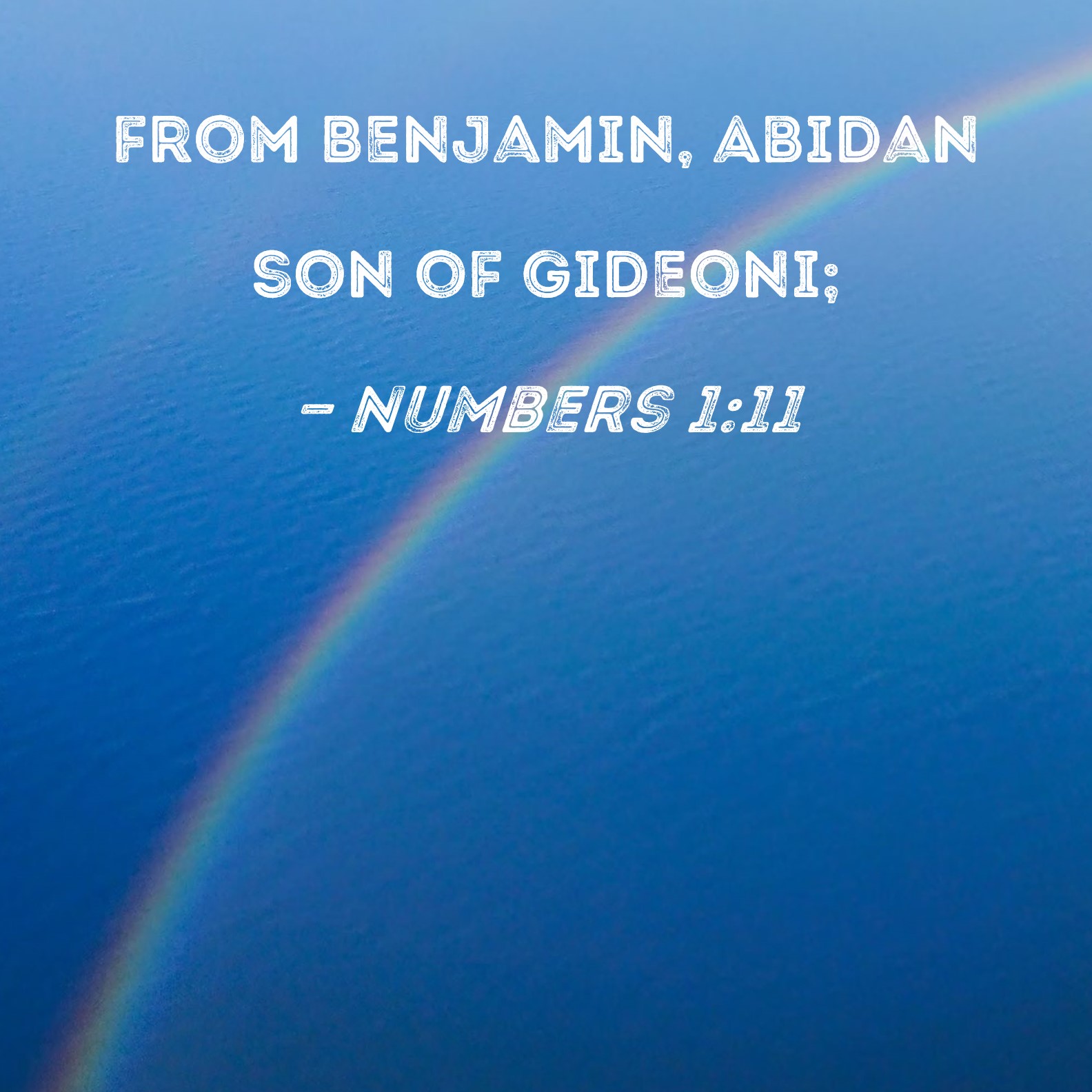 Numbers 111 from Benjamin, Abidan son of Gideoni;