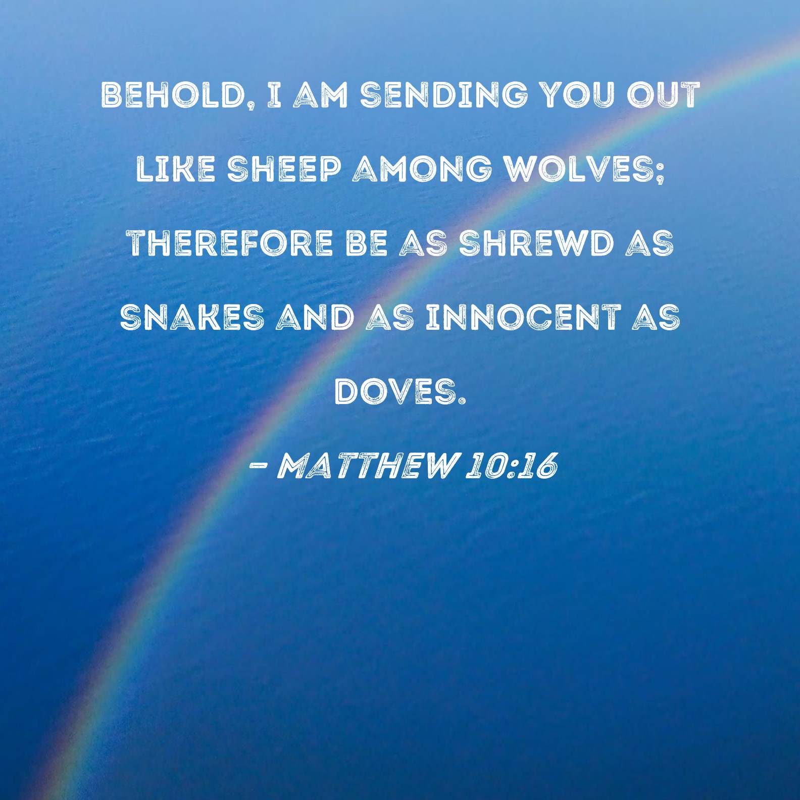 Matthew 1016 Behold, I am sending you out like sheep among wolves