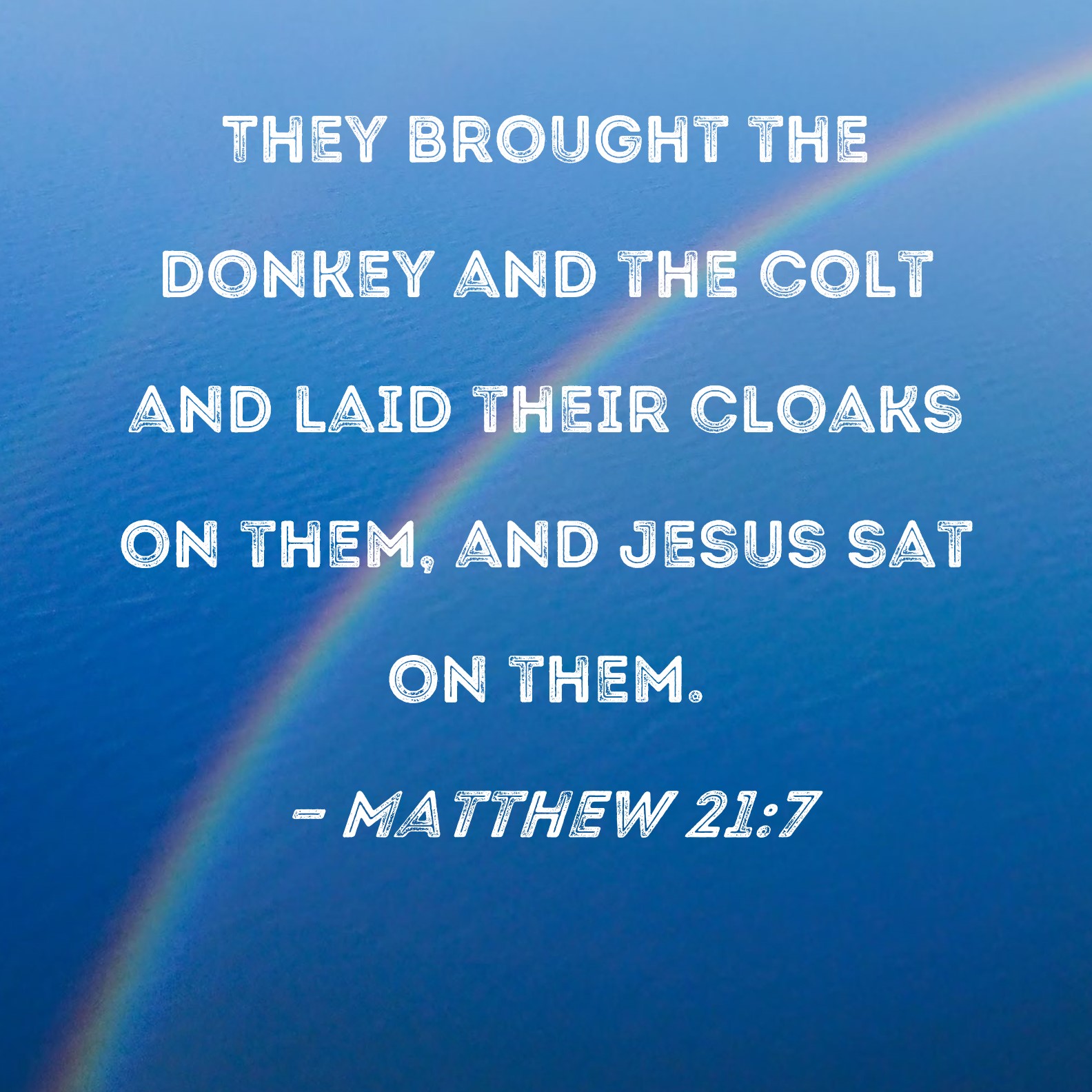 Matthew 217 They brought the donkey and the colt and laid their cloaks