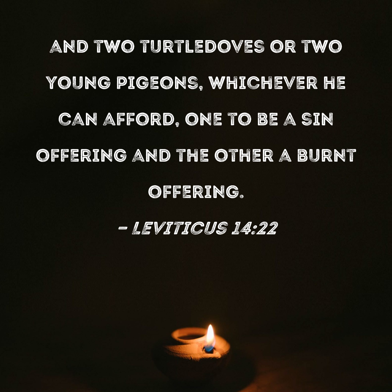 Leviticus 1422 and two turtledoves or two young pigeons, whichever he