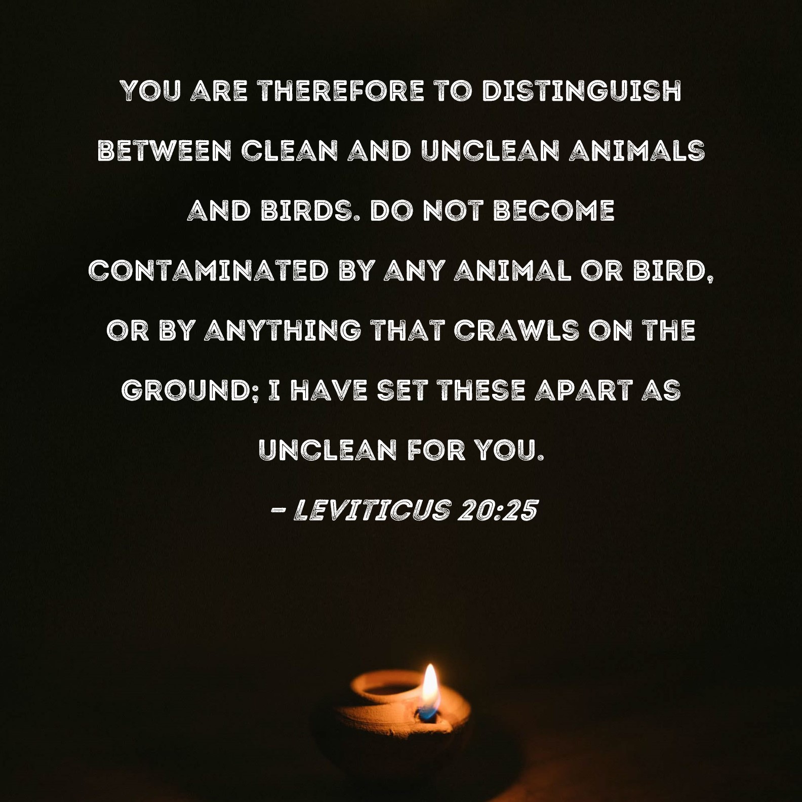 Leviticus 2025 You are therefore to distinguish between clean and