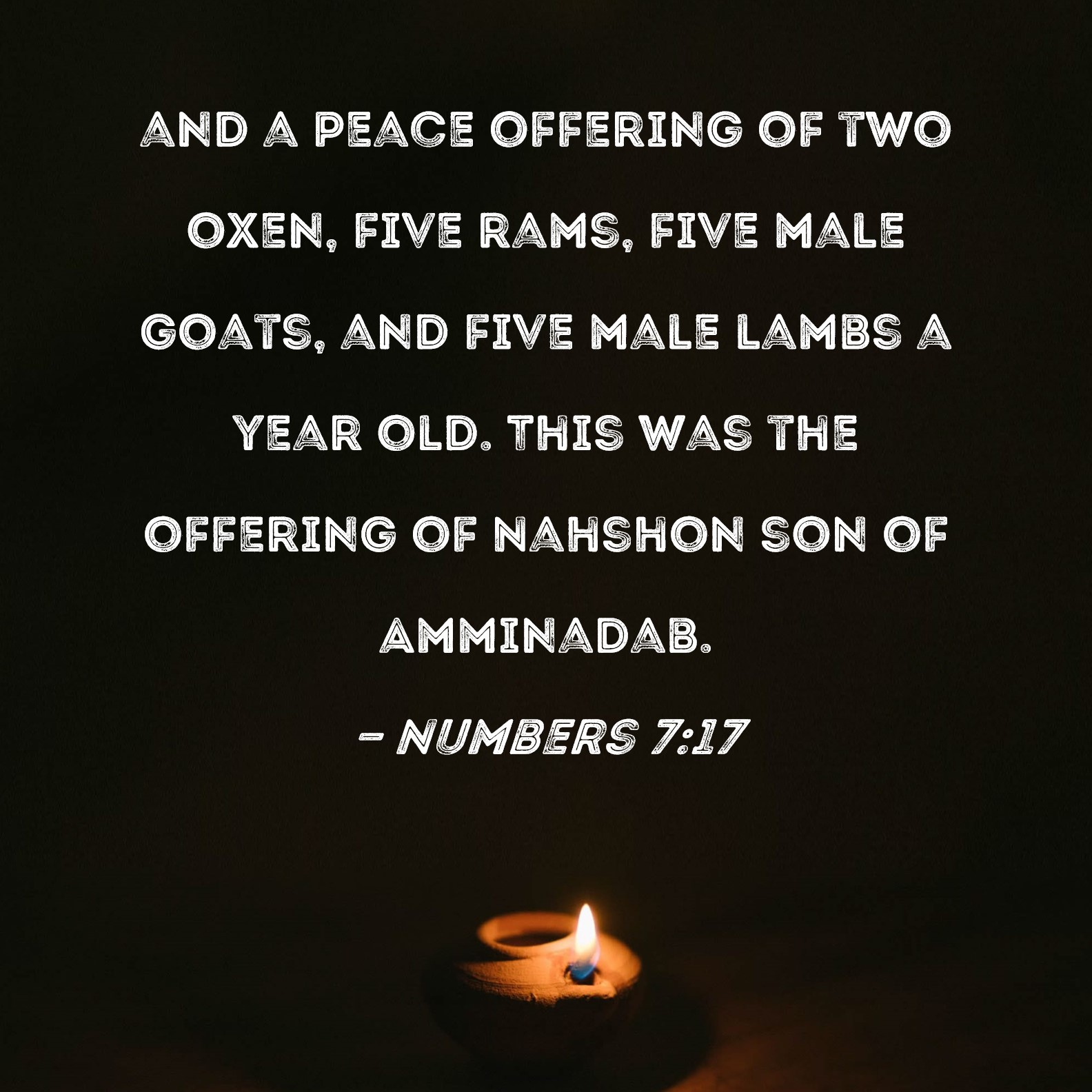 Numbers 717 and a peace offering of two oxen, five rams, five male