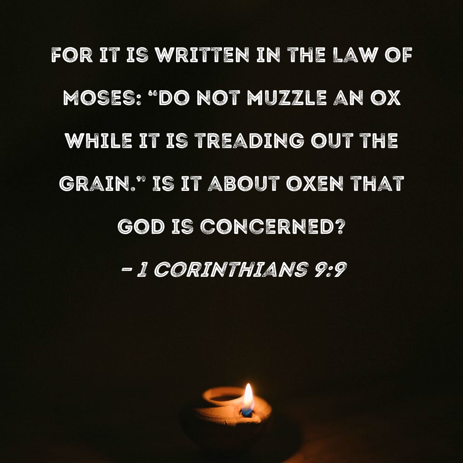 1 Corinthians 99 For it is written in the Law of Moses "Do not muzzle