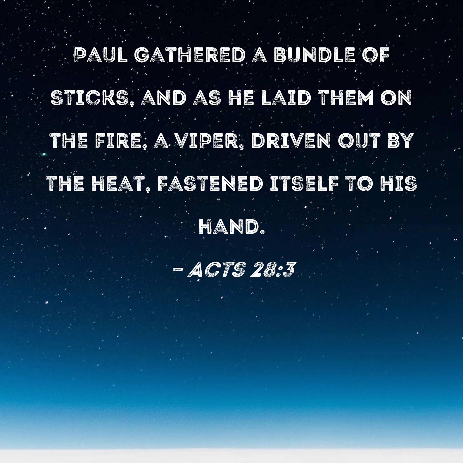 Acts 283 Paul gathered a bundle of sticks, and as he laid them on the