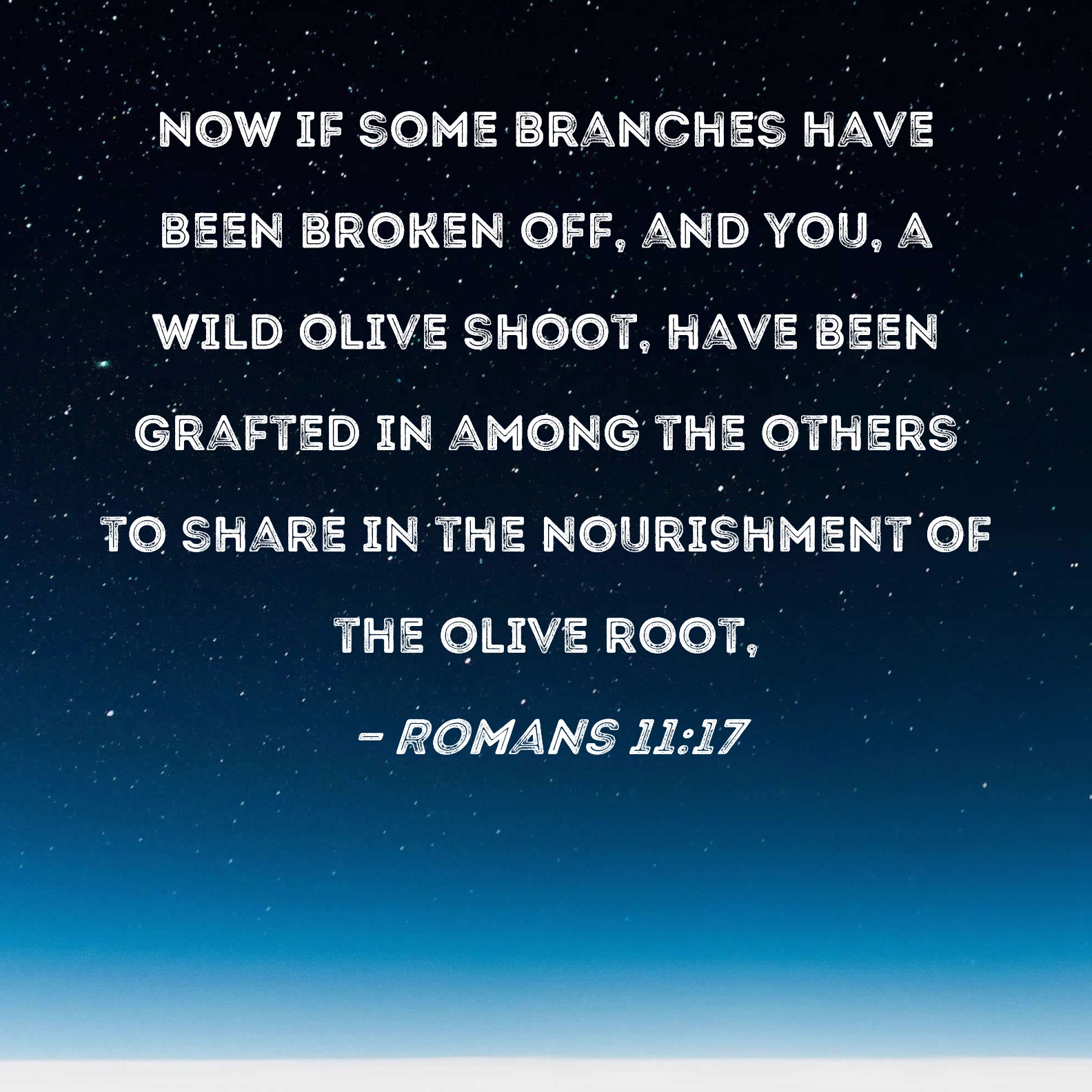 Romans 1117 Now if some branches have been broken off, and you, a wild