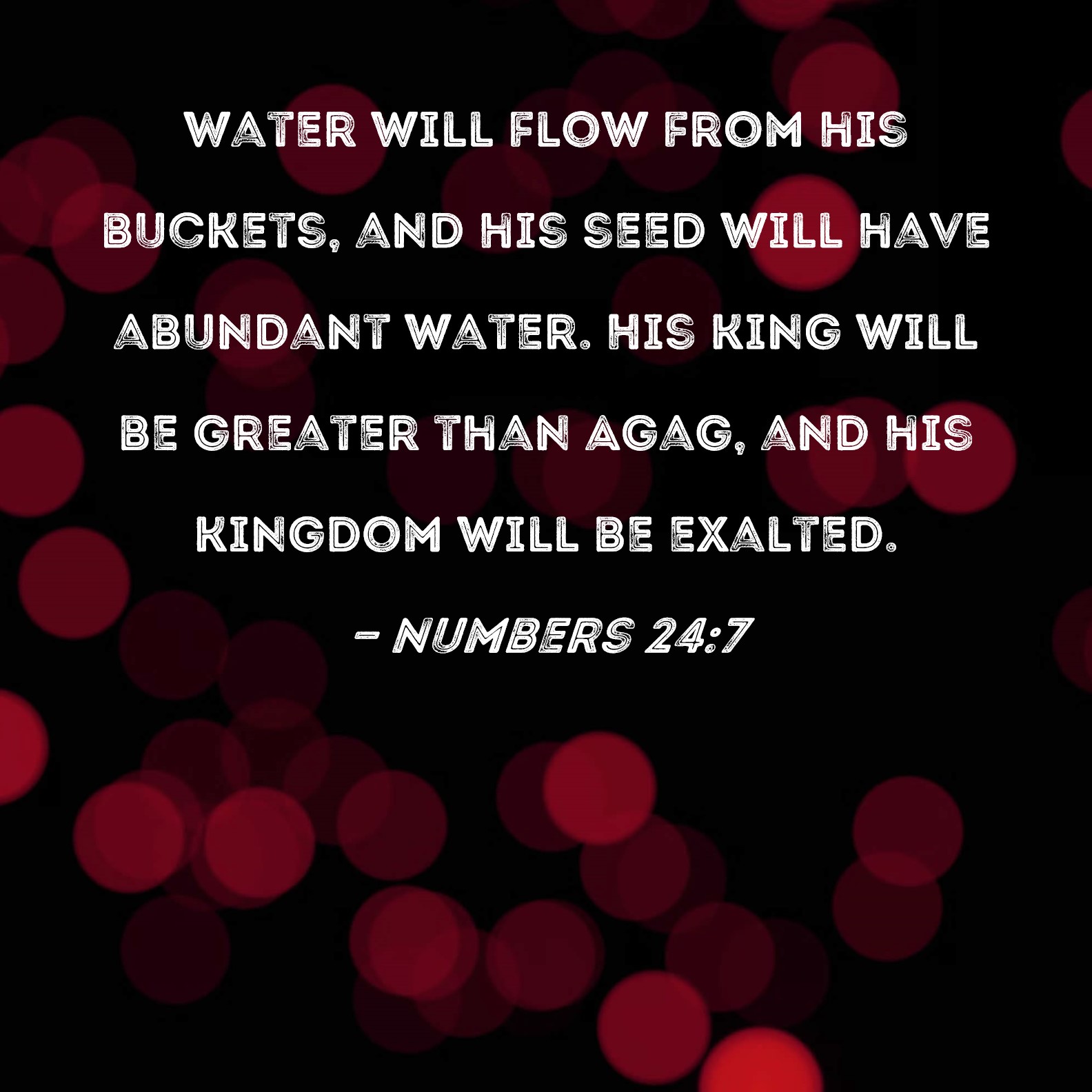 Numbers 247 Water will flow from his buckets, and his seed will have
