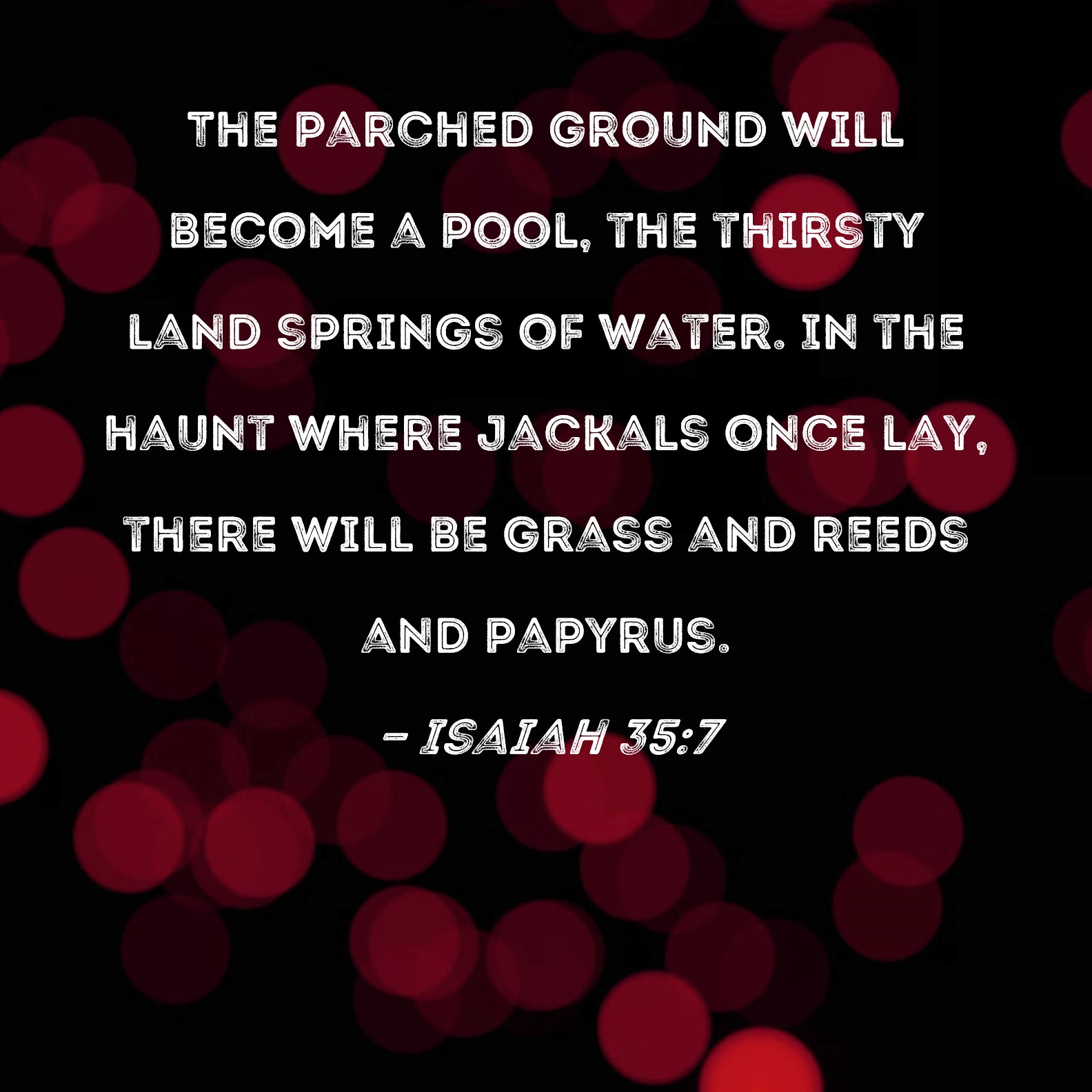 Isaiah 357 The parched ground will a pool, the thirsty land