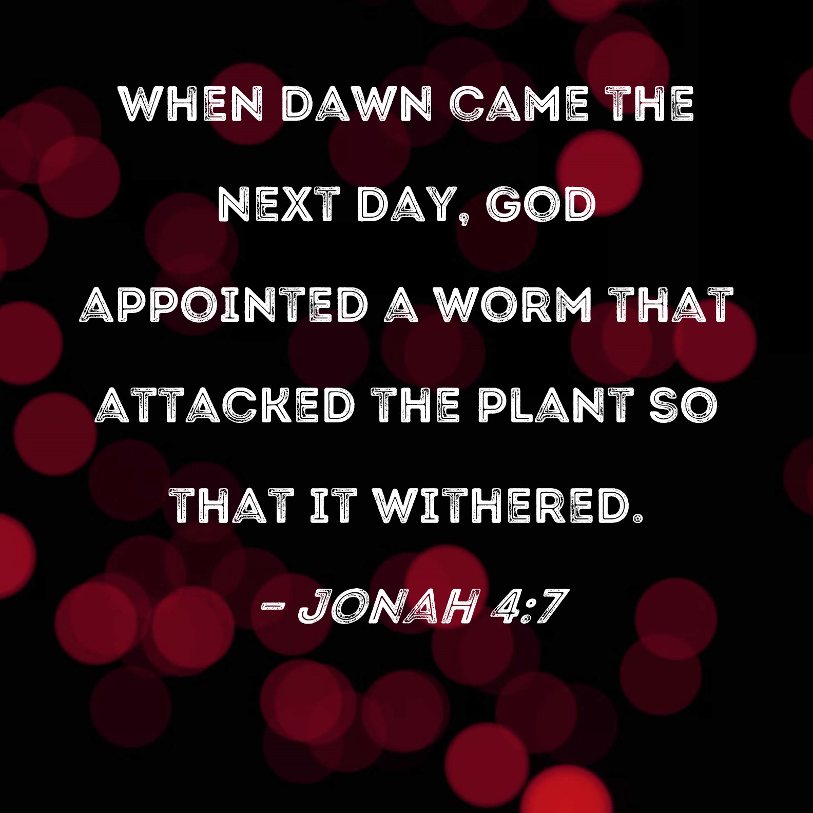 Jonah 47 When dawn came the next day, God appointed a worm that