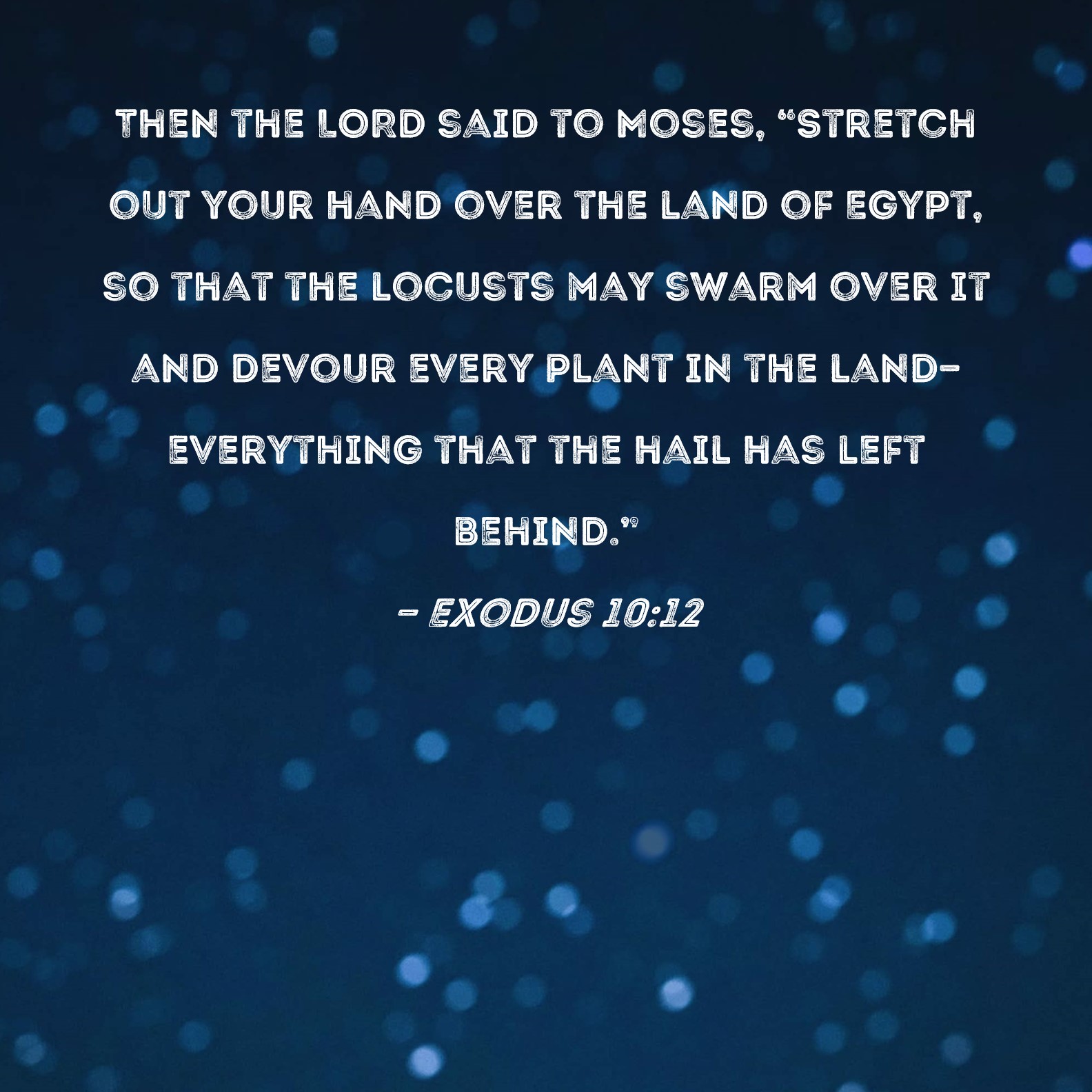 Exodus 1012 Then the LORD said to Moses, "Stretch out your hand over the land of Egypt, so that