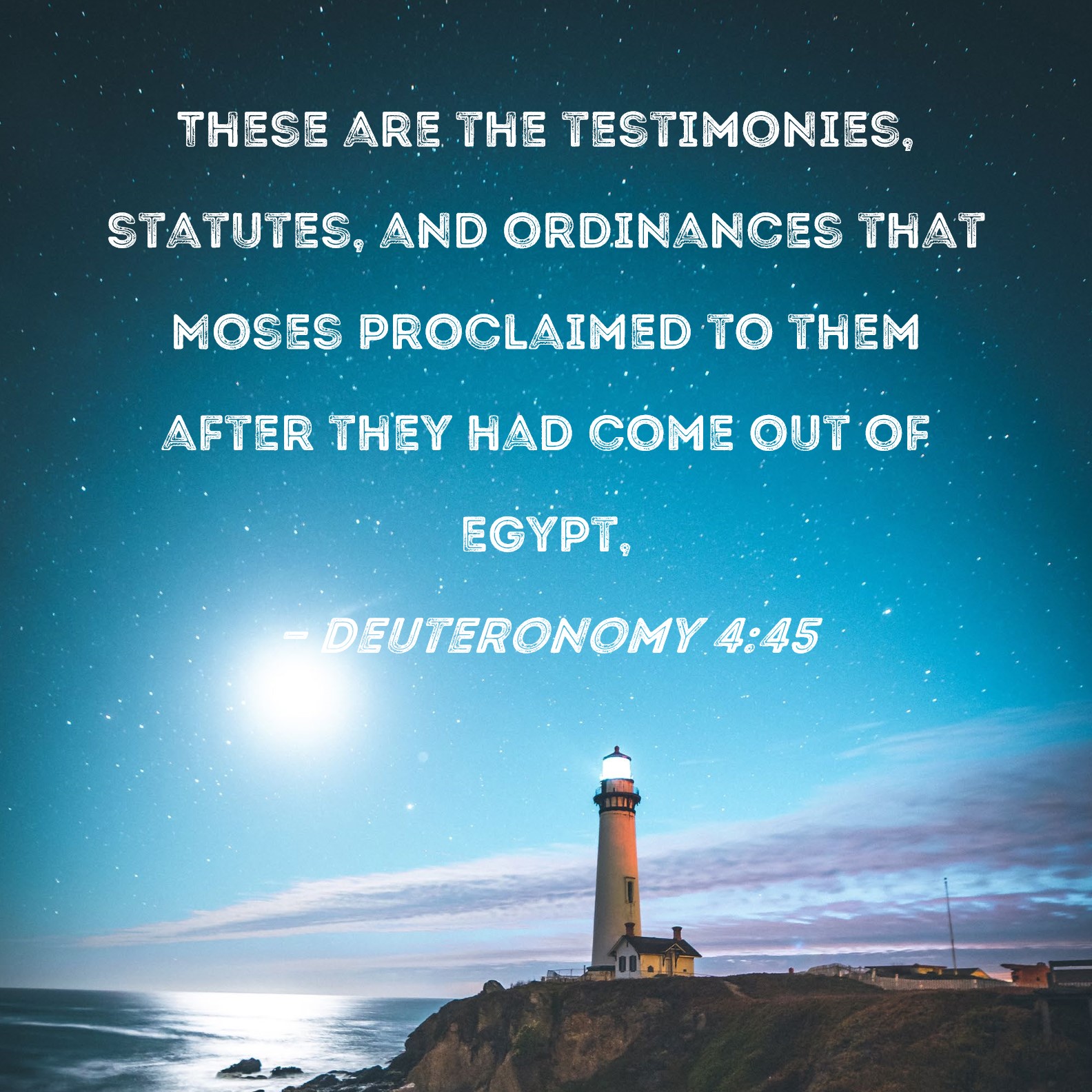 Deuteronomy 445 These are the testimonies, statutes, and ordinances