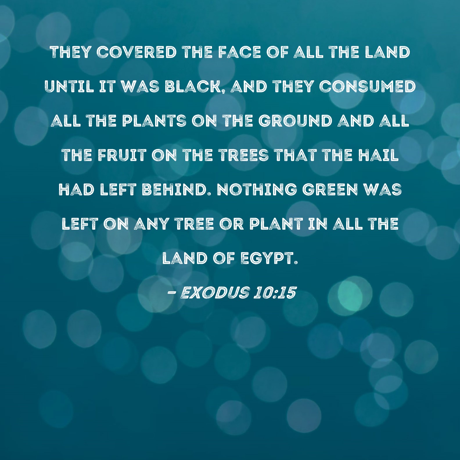 Exodus 1015 They covered the face of all the land until it was black, and they consumed all the