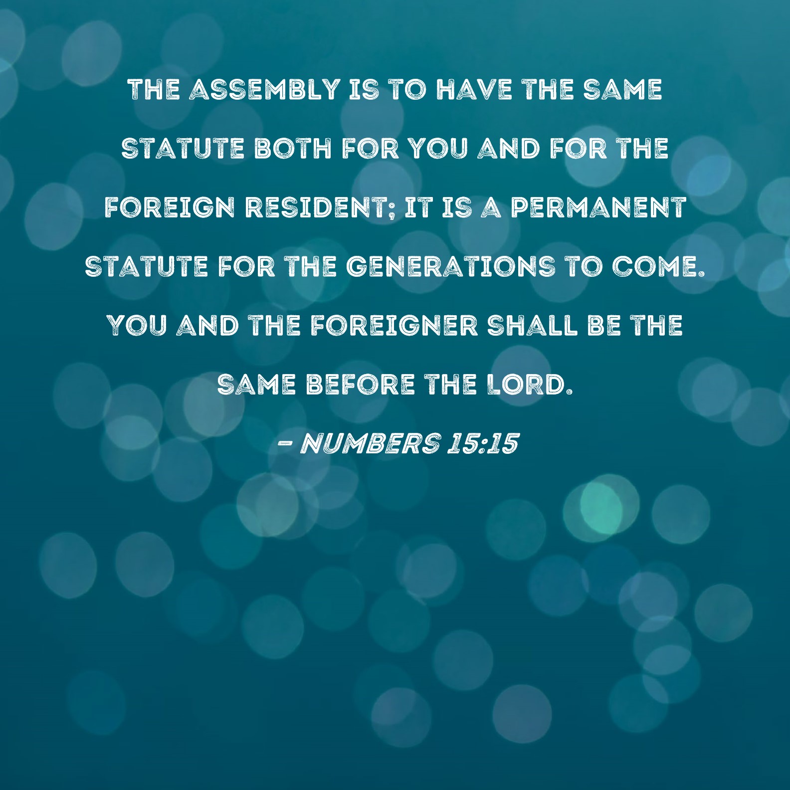 Numbers 1515 The assembly is to have the same statute both for you and