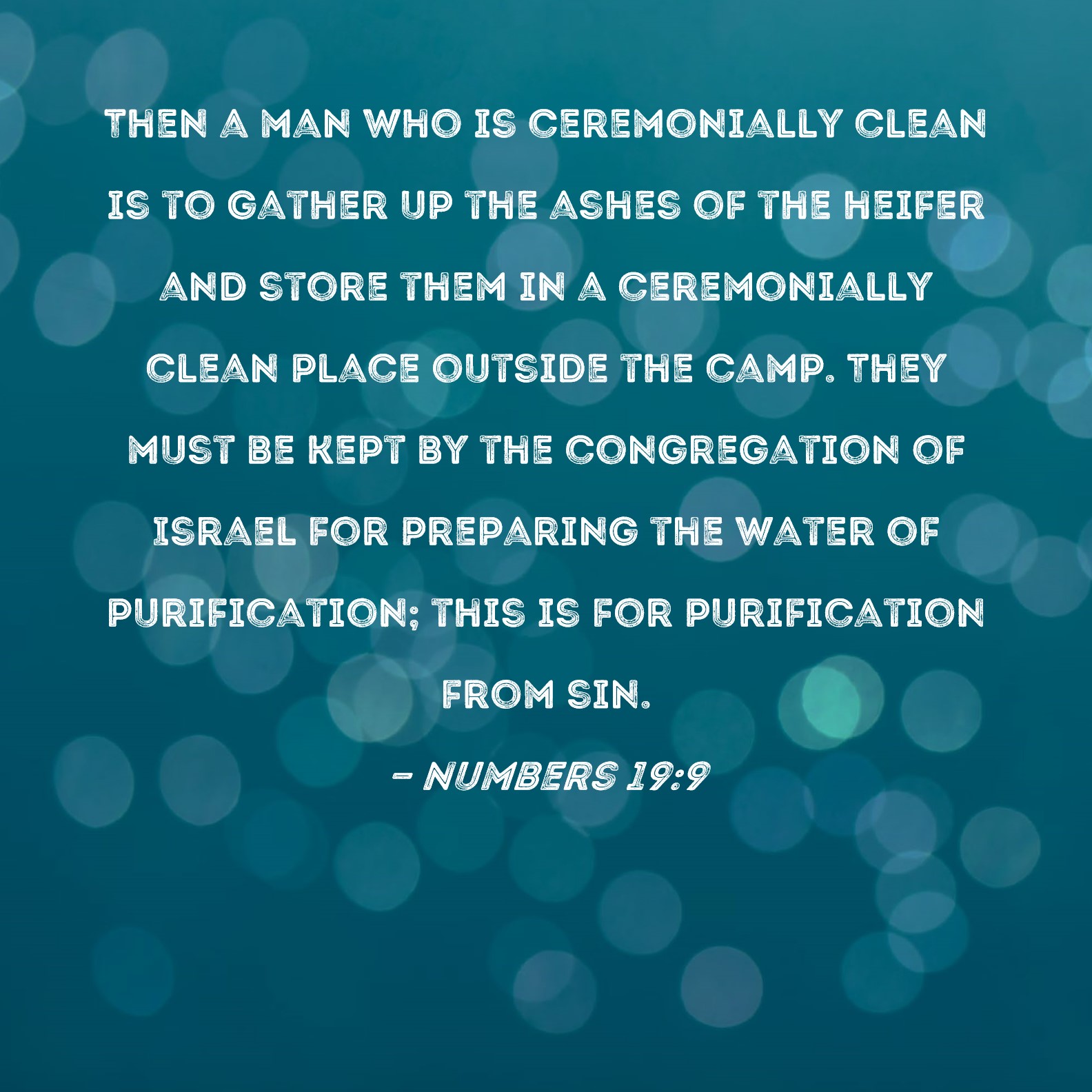 Numbers 199 Then a man who is ceremonially clean is to gather up the