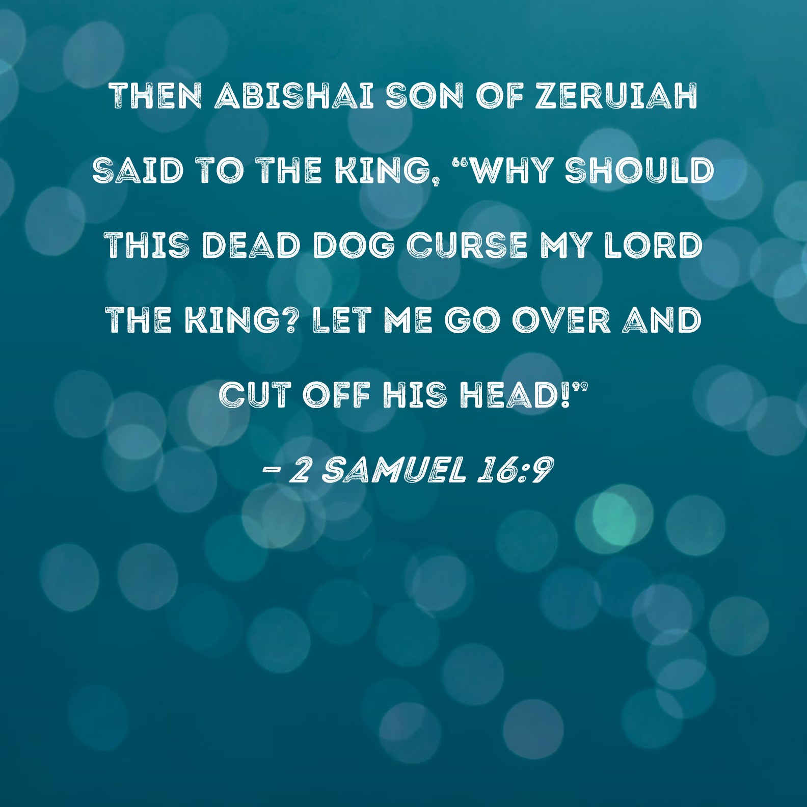 2 Samuel 169 Then Abishai son of Zeruiah said to the king, "Why should