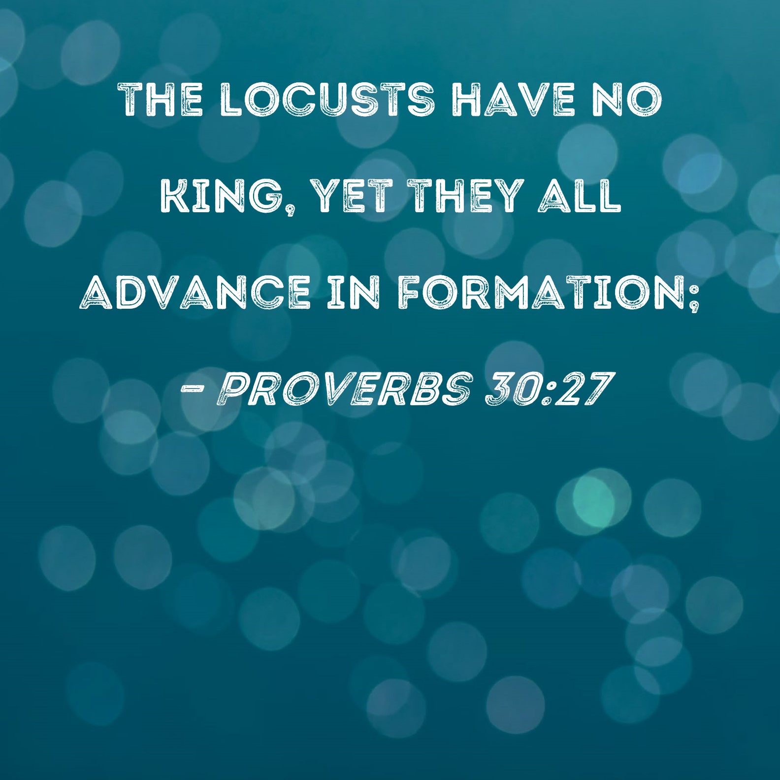 Proverbs 3027 the locusts have no king, yet they all advance in formation;