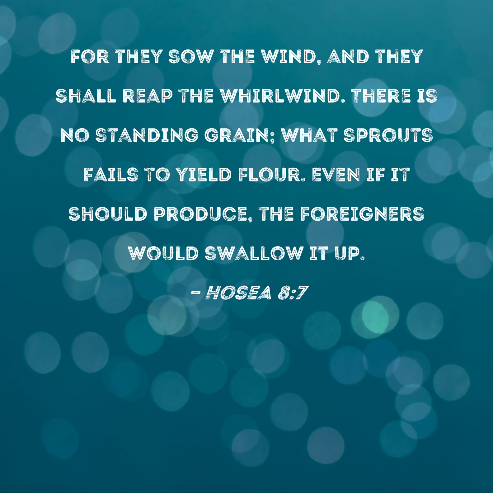 Hosea 87 For they sow the wind, and they shall reap the whirlwind