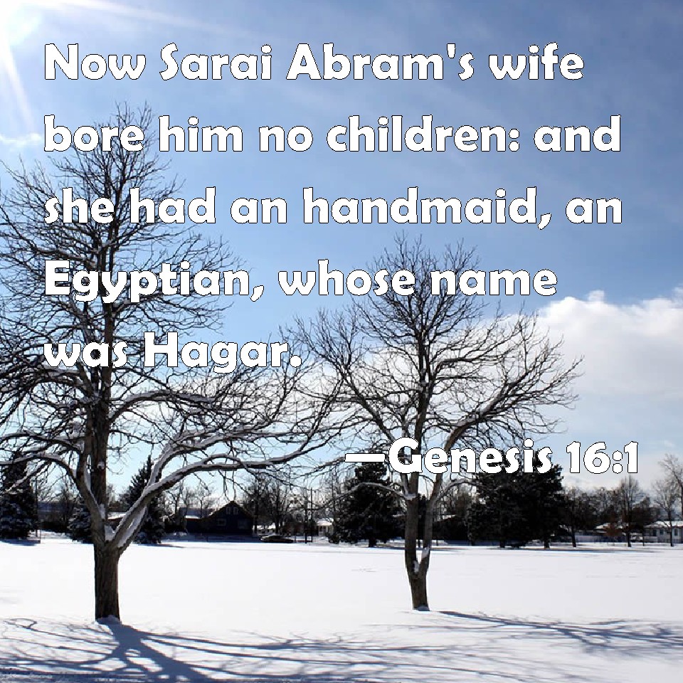 Genesis 161 Now Sarai Abram's wife bore him no children and she had