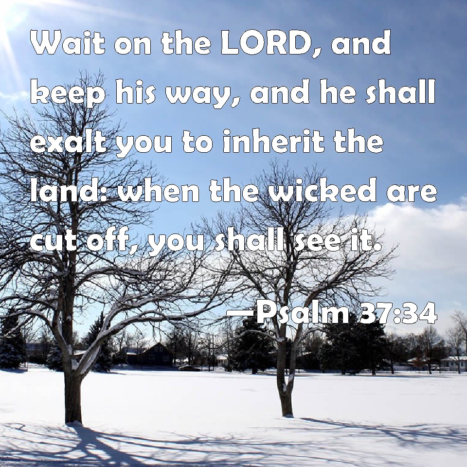 Psalm 3734 Wait on the LORD, and keep his way, and he shall exalt you