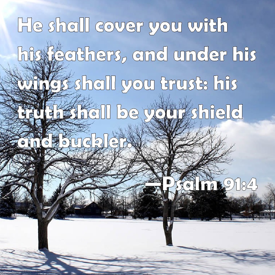 Psalm 914 He shall cover you with his feathers, and under his wings