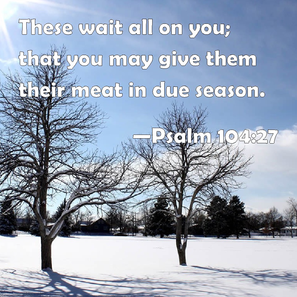 Psalm 10427 These wait all on you; that you may give them their meat