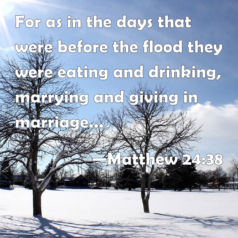 Matthew 2438 For as in the days that were before the flood they were