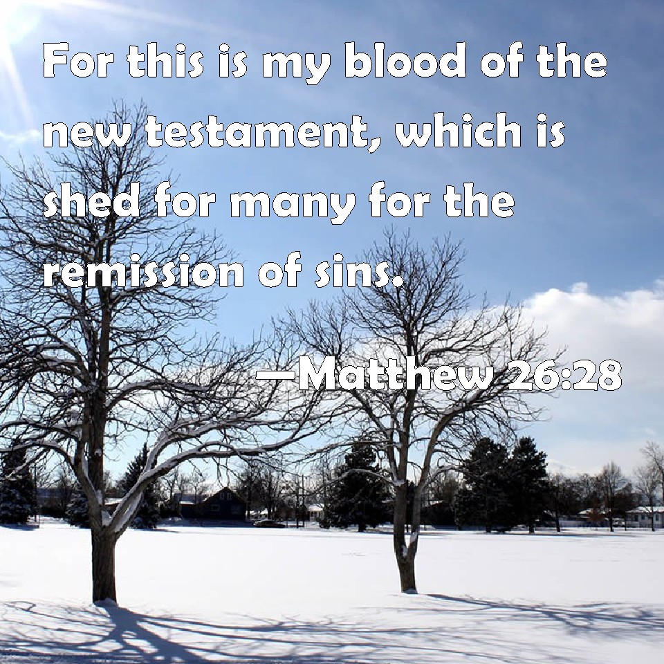 Matthew 2628 For this is my blood of the new testament, which is shed