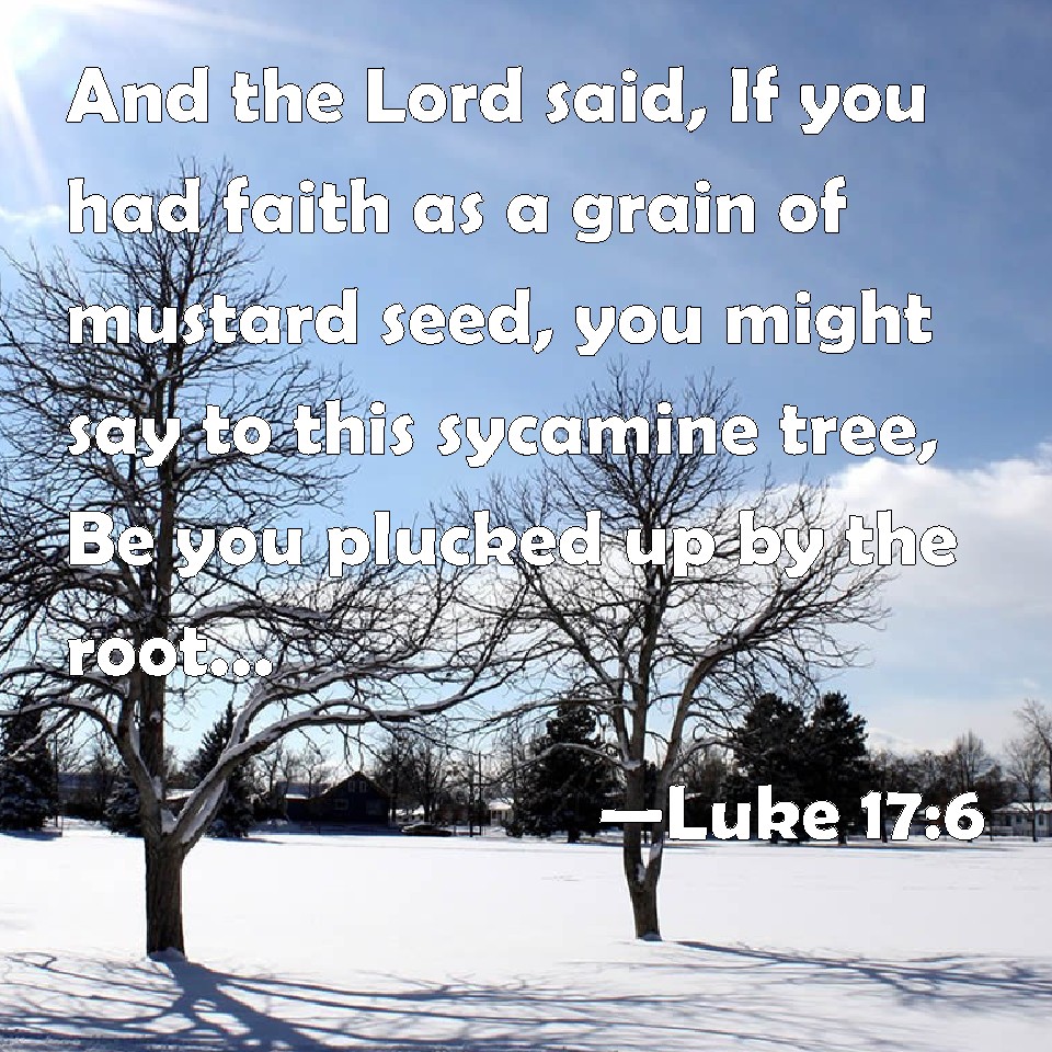 Luke 176 And the Lord said, If you had faith as a grain of mustard