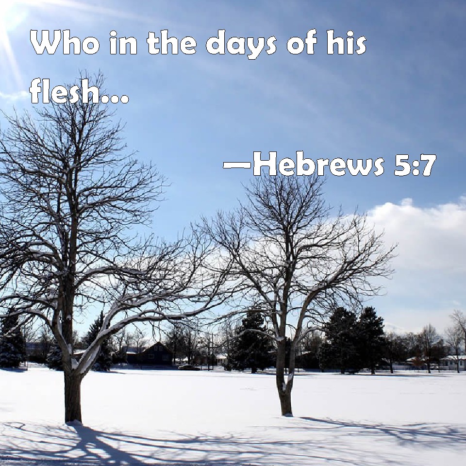 Hebrews 57 Who in the days of his flesh, when he had offered up