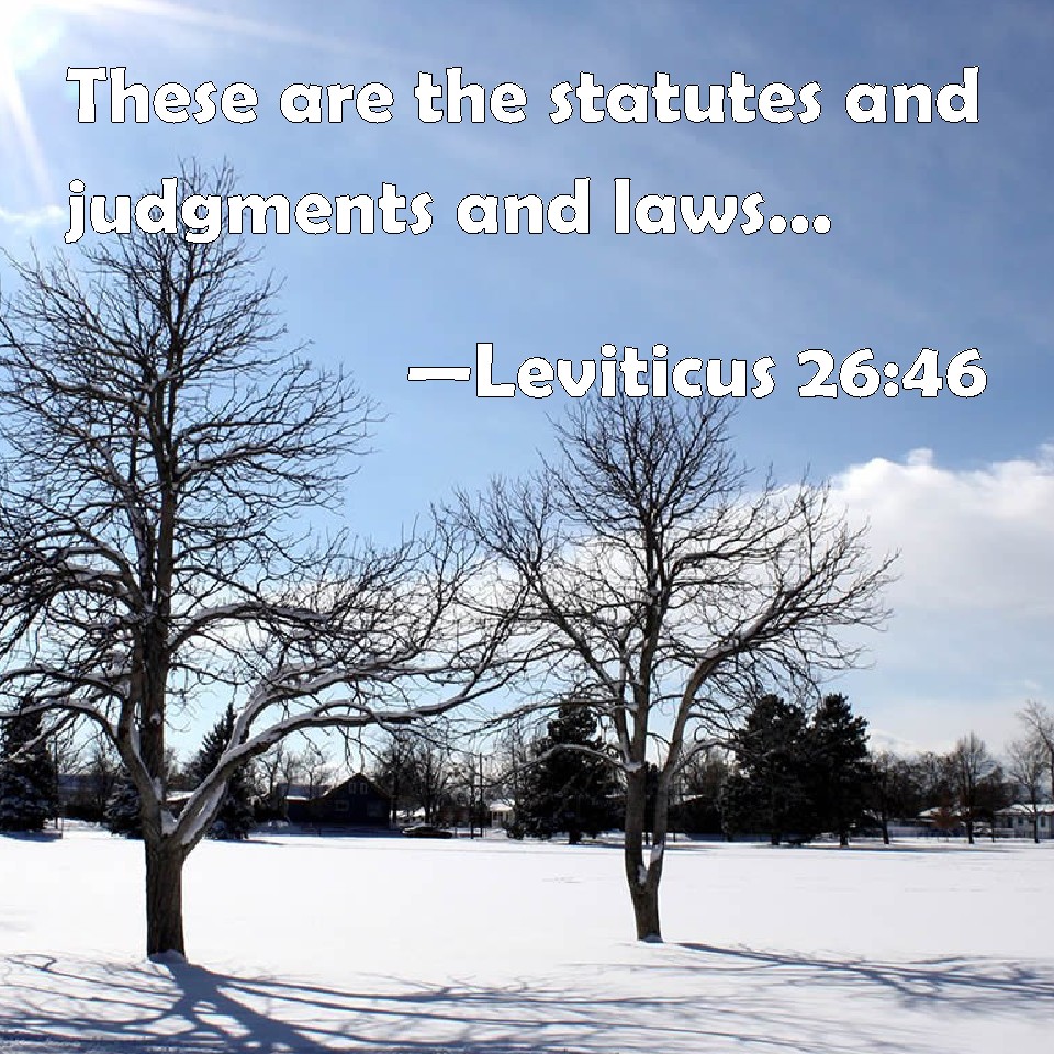 Leviticus 2646 These are the statutes and judgments and laws, which the LORD made between him