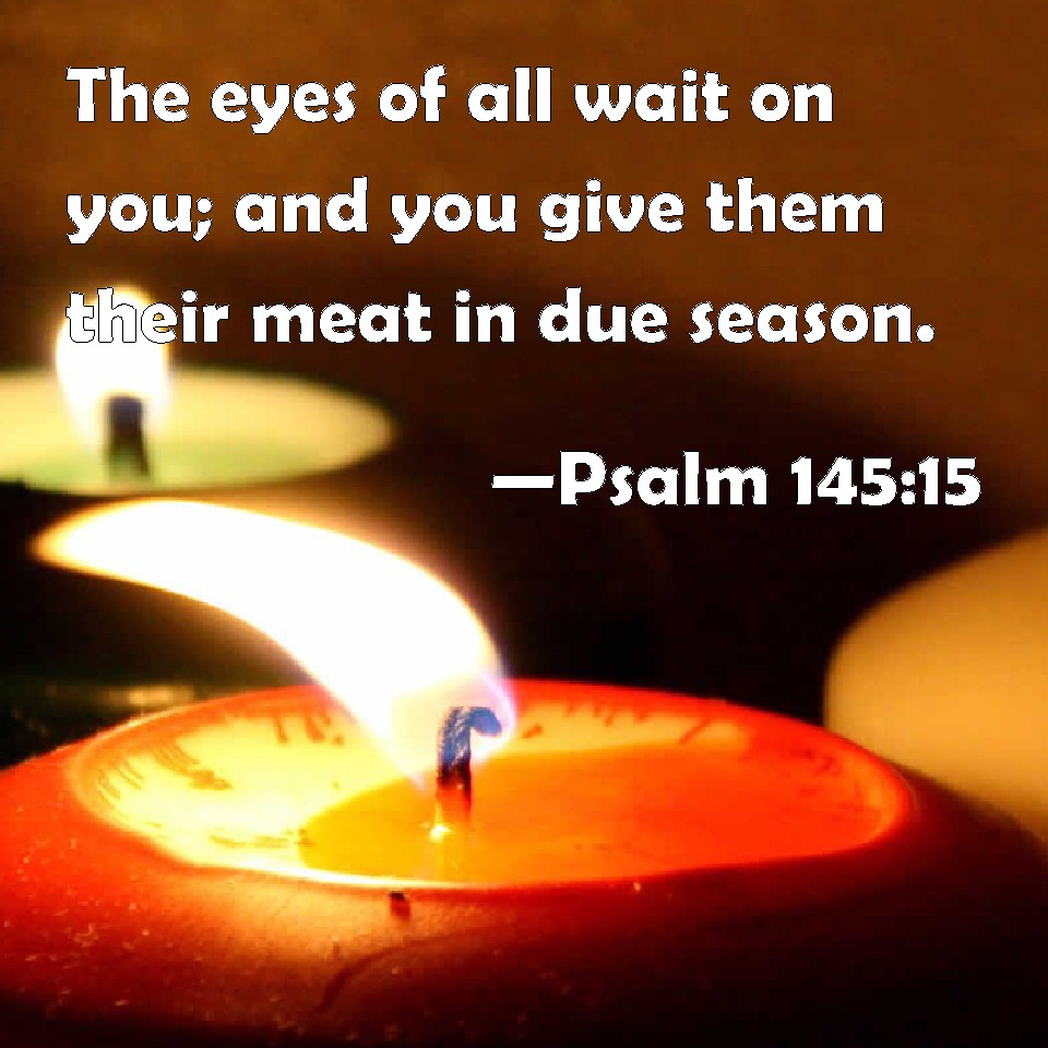 Psalm 14515 The eyes of all wait on you; and you give them their meat
