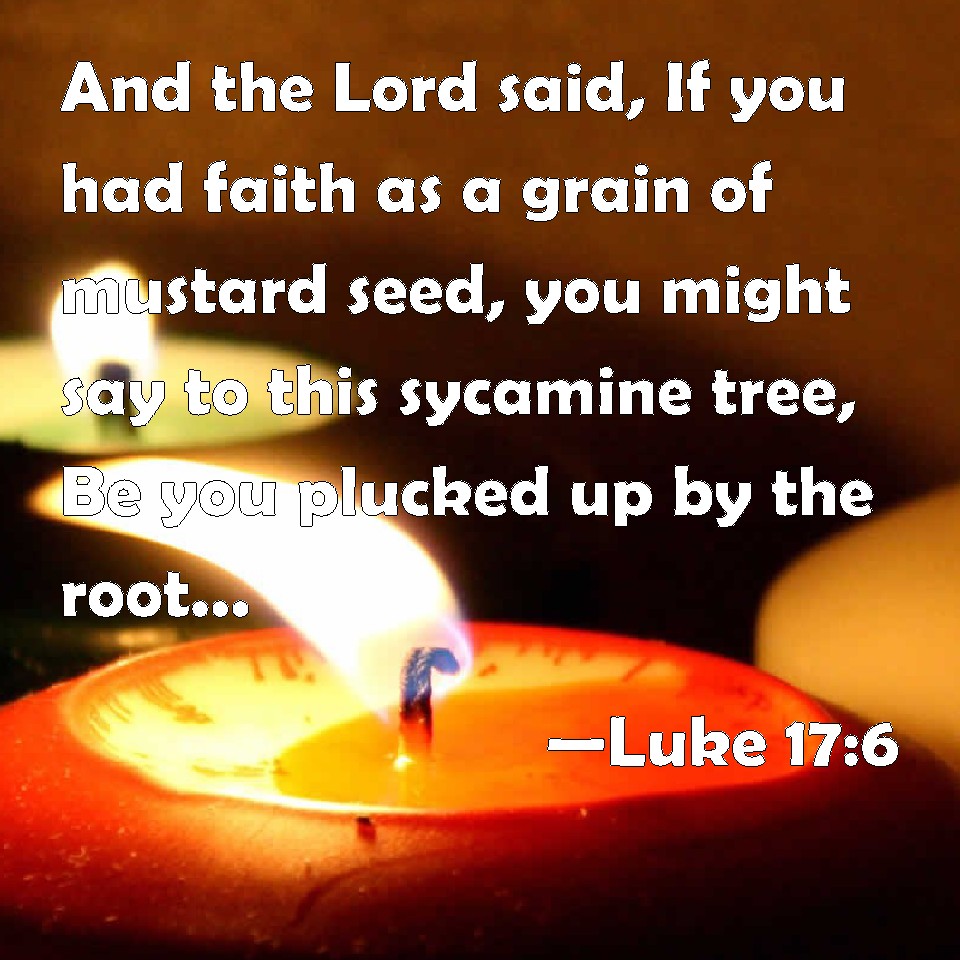 Luke 176 And the Lord said, If you had faith as a grain of mustard