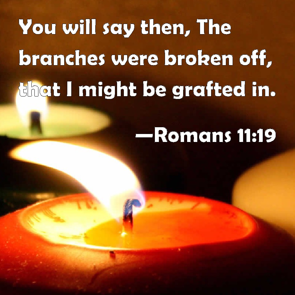 Romans 1119 You will say then, The branches were broken off, that I