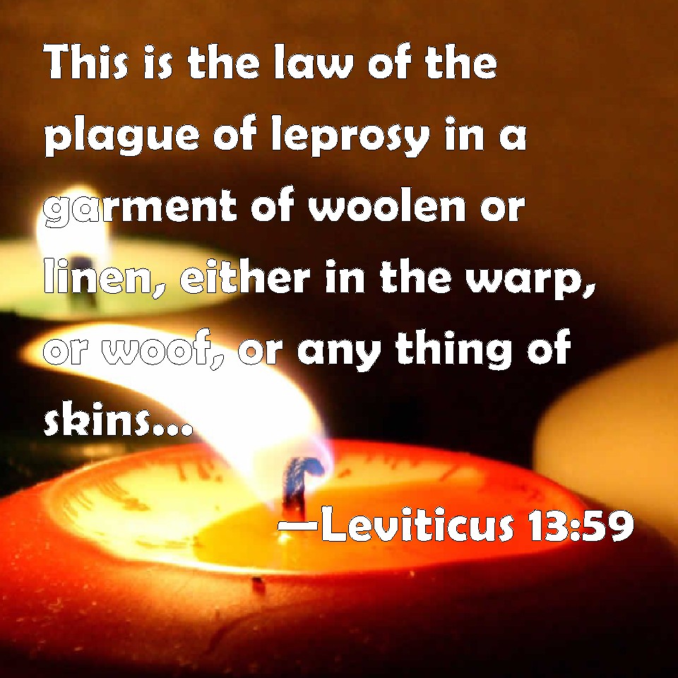 Leviticus 1359 This is the law of the plague of leprosy in a garment