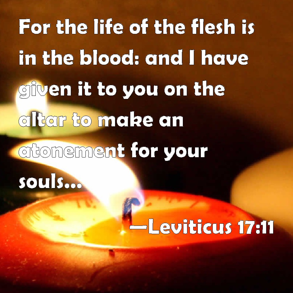Leviticus 1711 For the life of the flesh is in the blood and I have