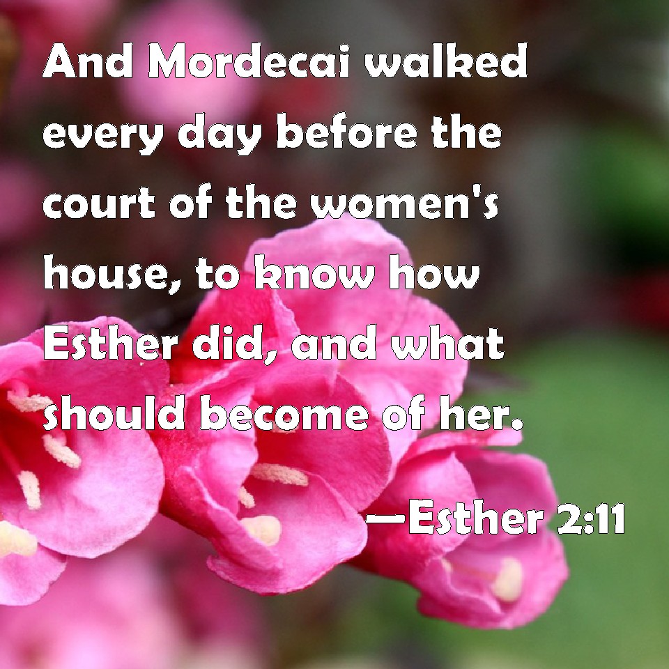 Esther 211 And Mordecai walked every day before the court of the women