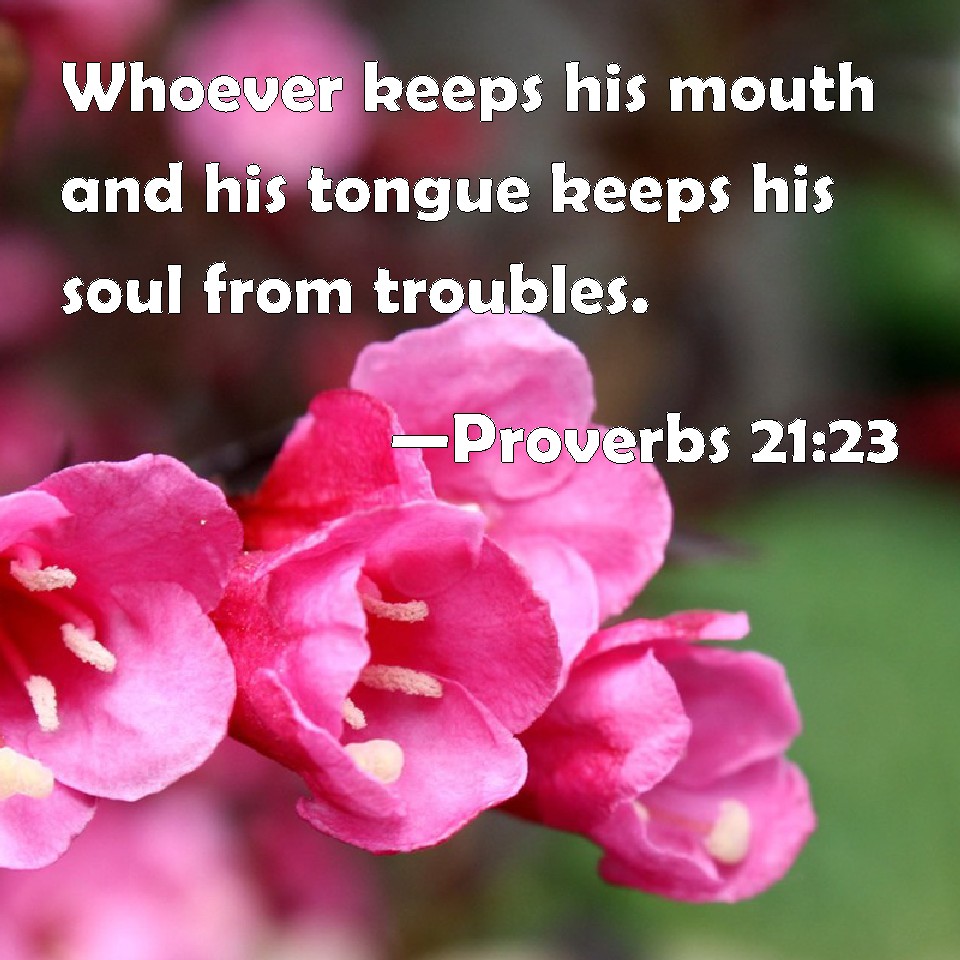 Proverbs 2123 Whoever keeps his mouth and his tongue keeps his soul