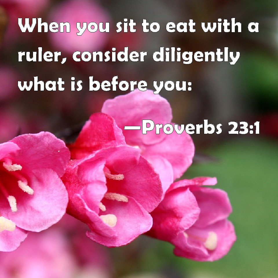 Proverbs 231 When you sit to eat with a ruler, consider diligently