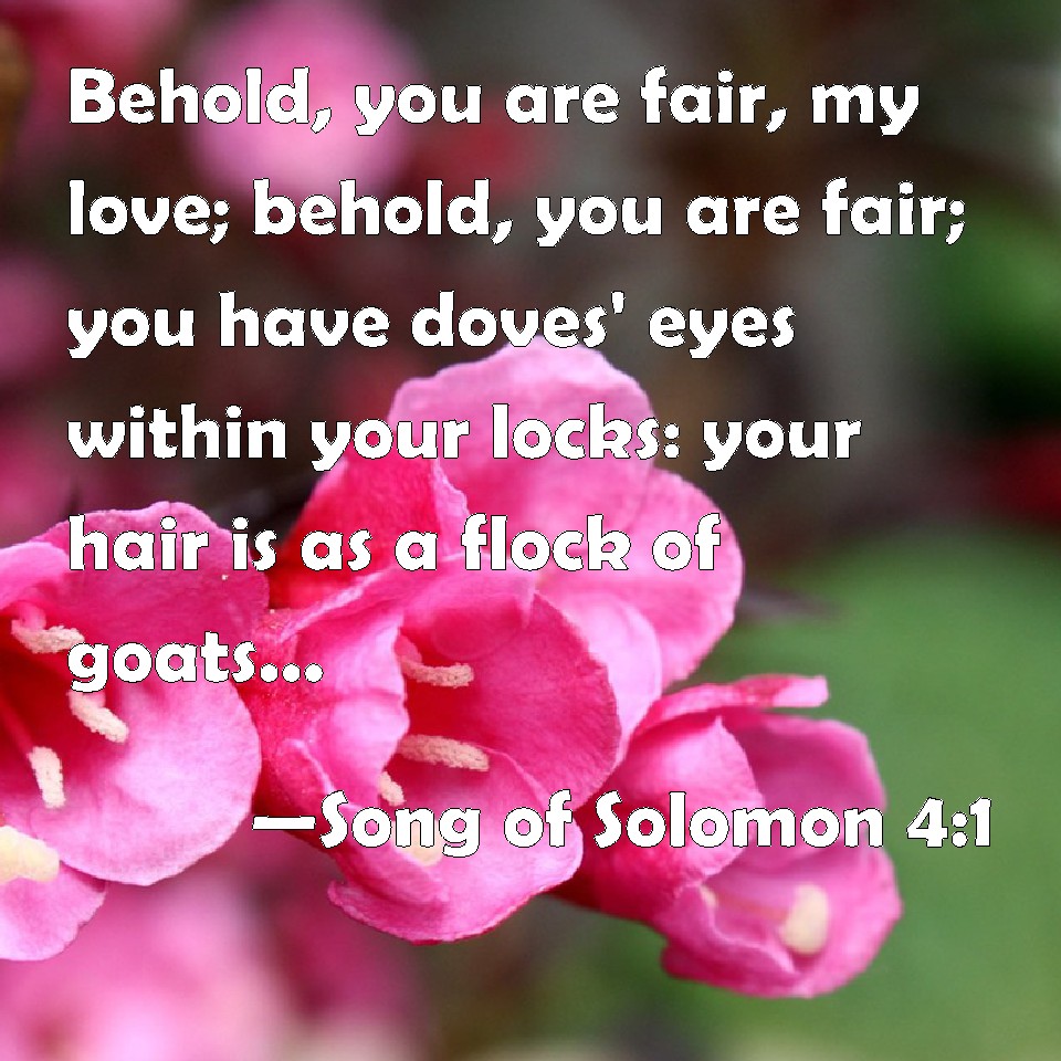 Song of Solomon 41 Behold, you are fair, my love; behold, you are fair