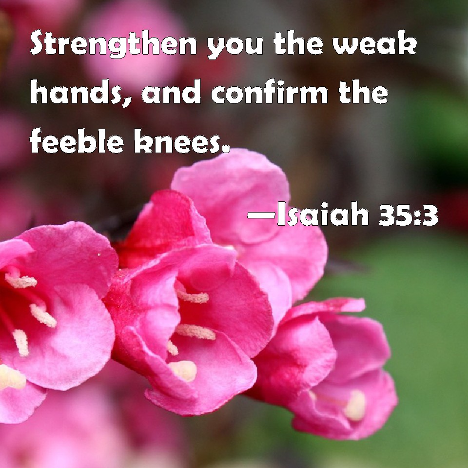 Isaiah 353 Strengthen you the weak hands, and confirm the feeble knees.