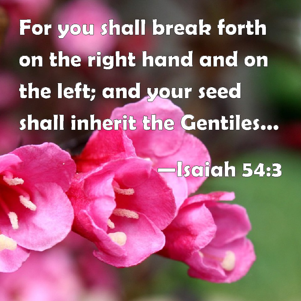 Isaiah 543 For you shall break forth on the right hand and on the left