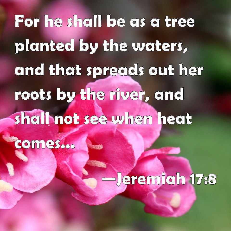 Jeremiah 178 For he shall be as a tree planted by the waters, and that