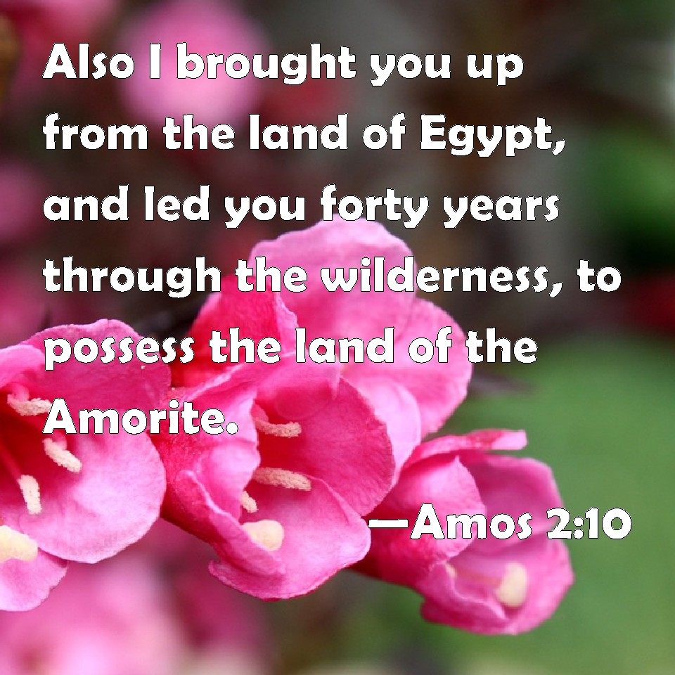 Amos 210 Also I brought you up from the land of Egypt, and led you