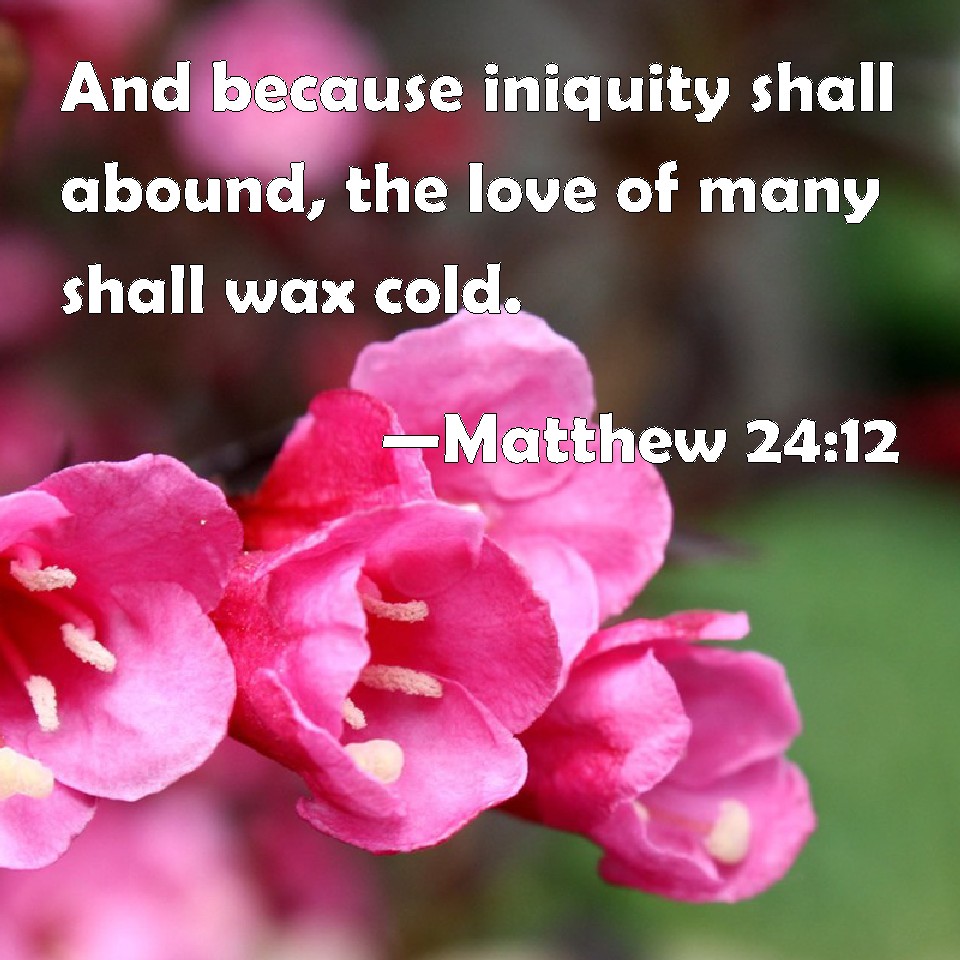 Matthew 2412 And because iniquity shall abound, the love of many shall