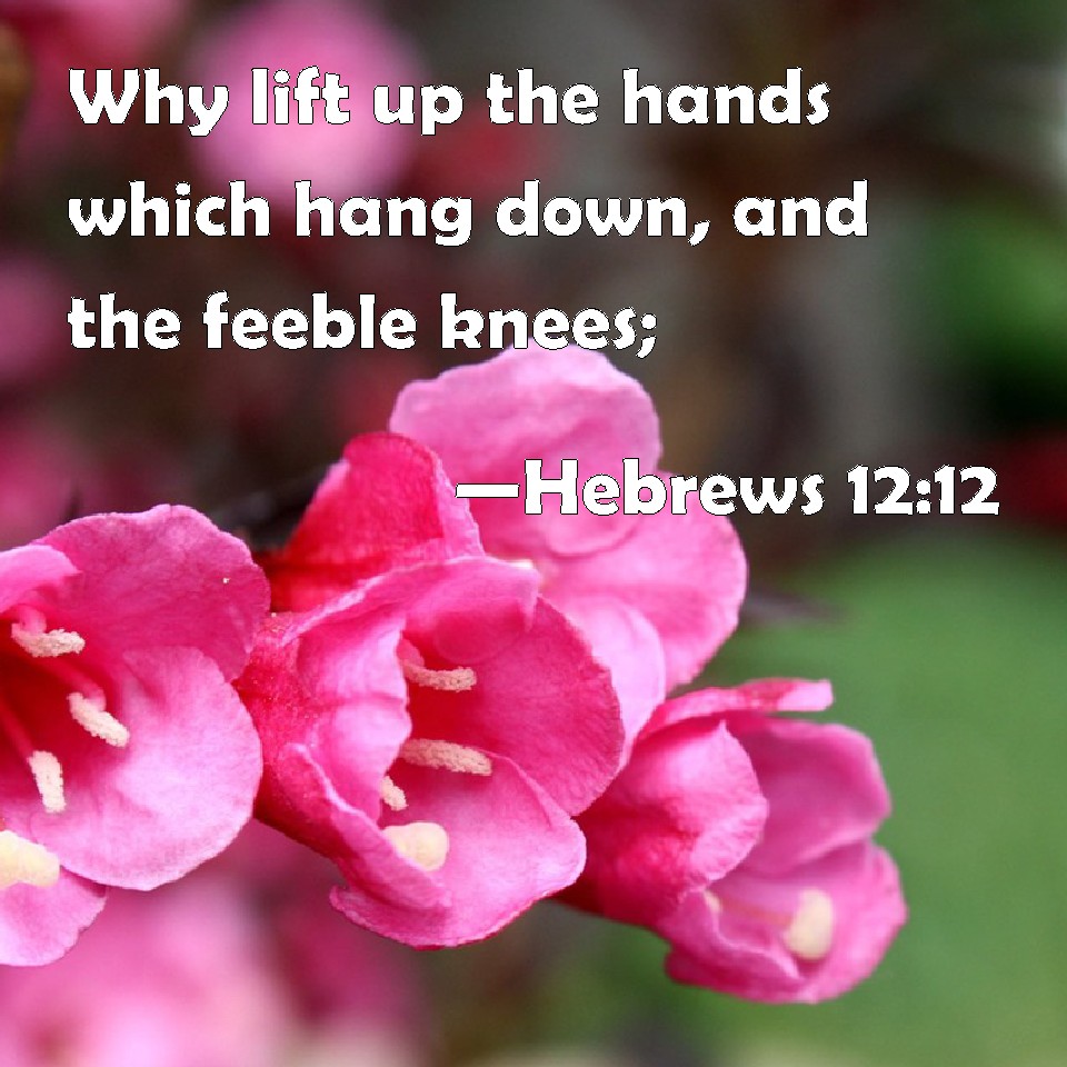 Hebrews 1212 Why lift up the hands which hang down, and the feeble knees;