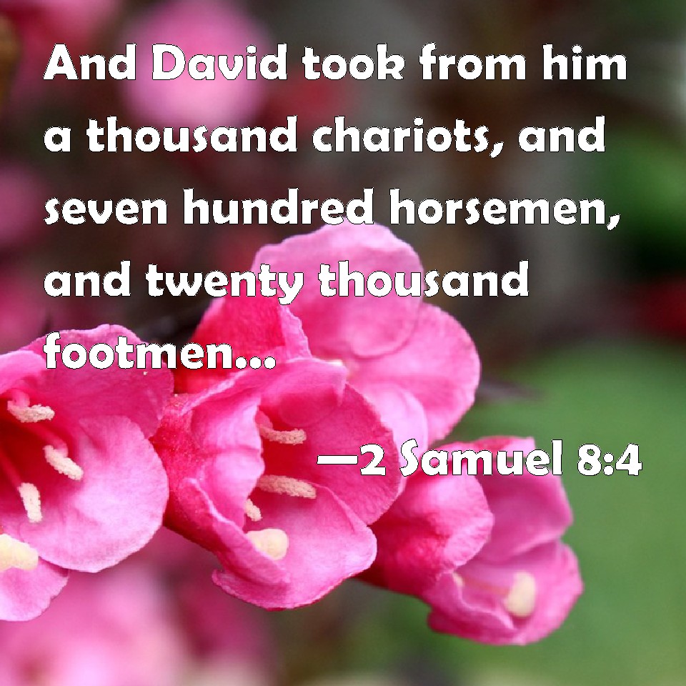 2 Samuel 84 And David took from him a thousand chariots, and seven